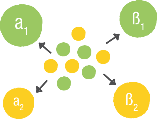 Adrenaline MOA diagram